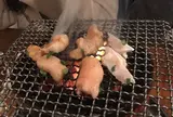 ホルモン屋 だん 横浜桜木町店