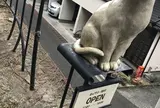 猫町ギャラリー