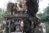 来宮神社