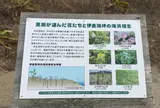 伊良湖岬自然散策路