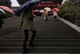 鶴岡八幡宮