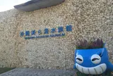 沖縄美ら海水族館