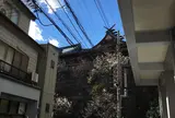 湯島天満宮