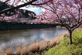 河津川