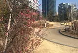 目黒天空庭園