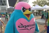 ベストアメニティスタジアム