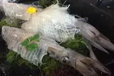 河太郎 呼子店