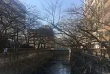 目黒川