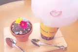 바나나트리