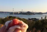 しまなみ海道