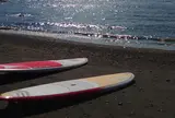 Sunny Funny Days