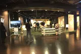 d47 MUSEUM