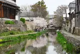 近江八幡水郷めぐり