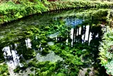白川水源