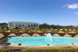 はままつフラワーパーク