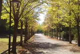 日本へそ公園