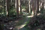曼荼羅のみち 〔熊野古道〕