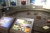 八丈ビジターセンター