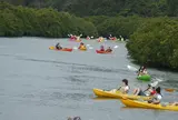 東村ふれあいヒルギ公園