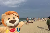Hoi An Beach