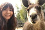 ＳａｙｕｒｉＷｏｒｌｄ