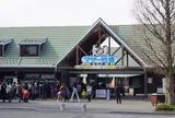 マザー牧場