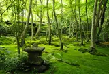 祇王寺