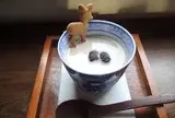 よつばカフェ