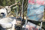 秘湯の宿 奥湯の郷