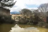 きづな