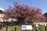 向島小学校