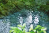 白川水源