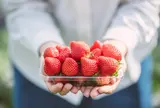 南阿蘇ふれあい農園