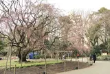 六義園