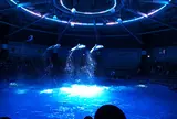 エプソンアクアパーク品川 (EPSON AQUA PARK SHINAGAWA)