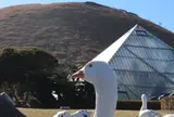 おおむろ軽食堂