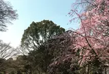 六義園