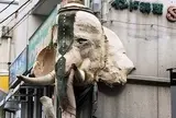 サプナ