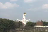 太陽の塔