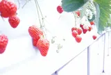 愛成ベリー