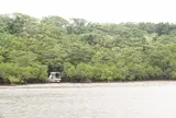 西表島