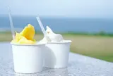 ミルミル本舗