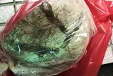 ラトリエ・デュ・パン
