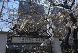 CANAL CAFE (カナルカフェ)