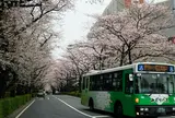 光が丘