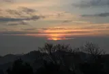 大高森