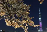 隅田川