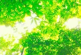 上用賀公園