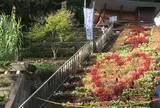 袋田の滝