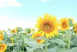 那珂総合公園